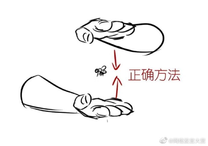 打蚊子的正确方法图片演示，打不到蚊子的原因_2