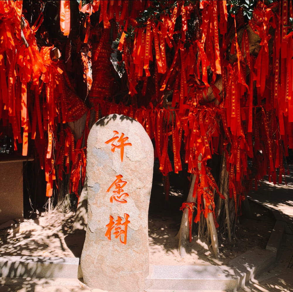 福建厦门大嶝岛风景图片_8