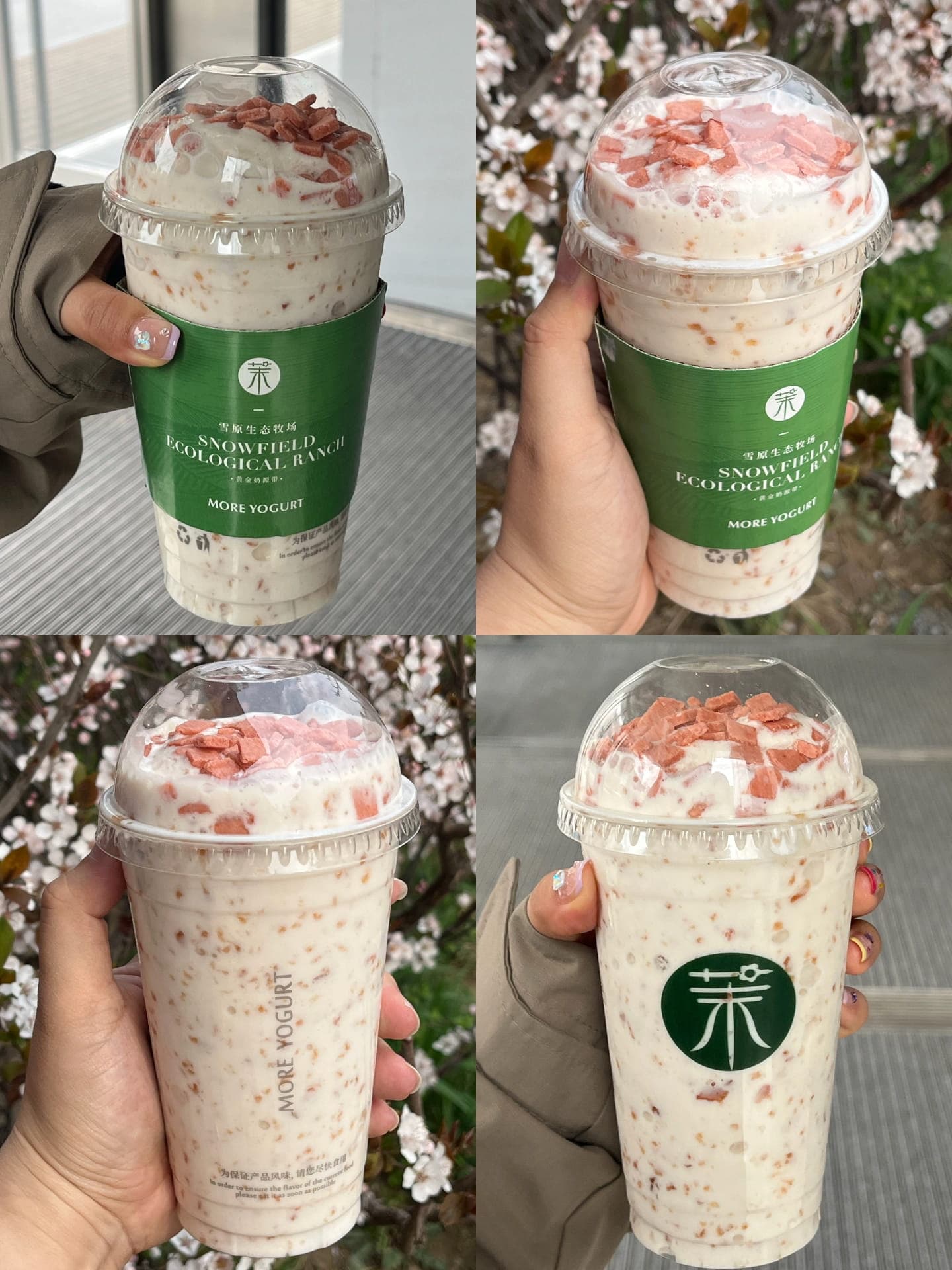茉酸奶不健康但是好喝！美食饮料茉酸奶图片_6