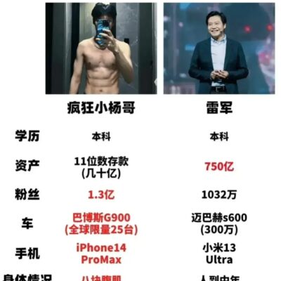 疯狂小杨哥和雷军对比图，差距到底有多大！