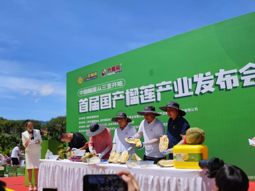 国产海南三亚榴莲图片,国产榴莲迎来首次上市_5