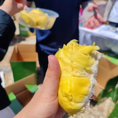 国产海南三亚榴莲图片,国产榴莲迎来首次上市