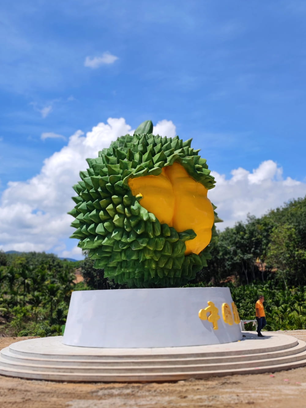 国产海南三亚榴莲图片,国产榴莲迎来首次上市_3