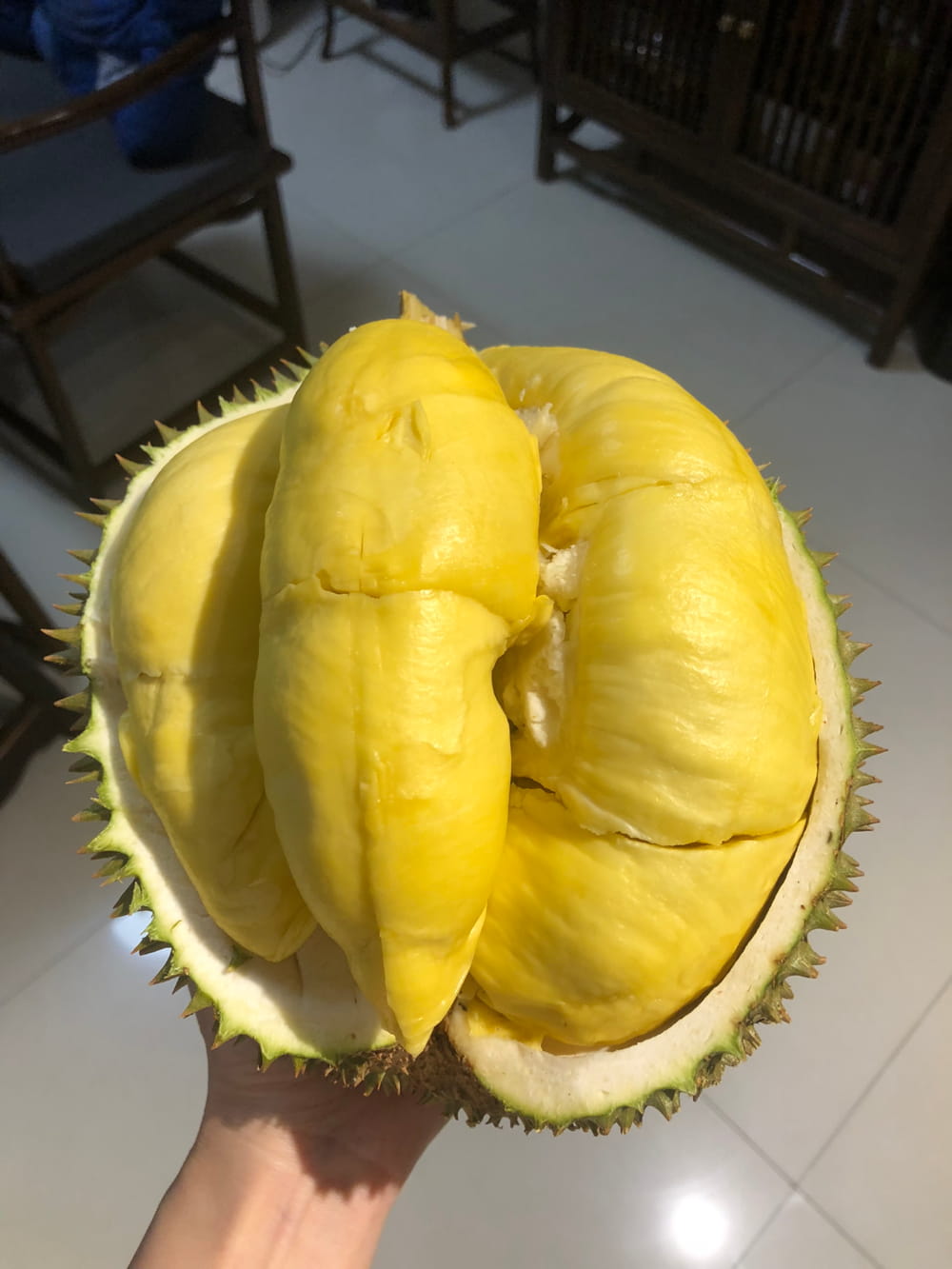 什么样的榴莲为成熟榴莲,榴莲熟了的图片_4