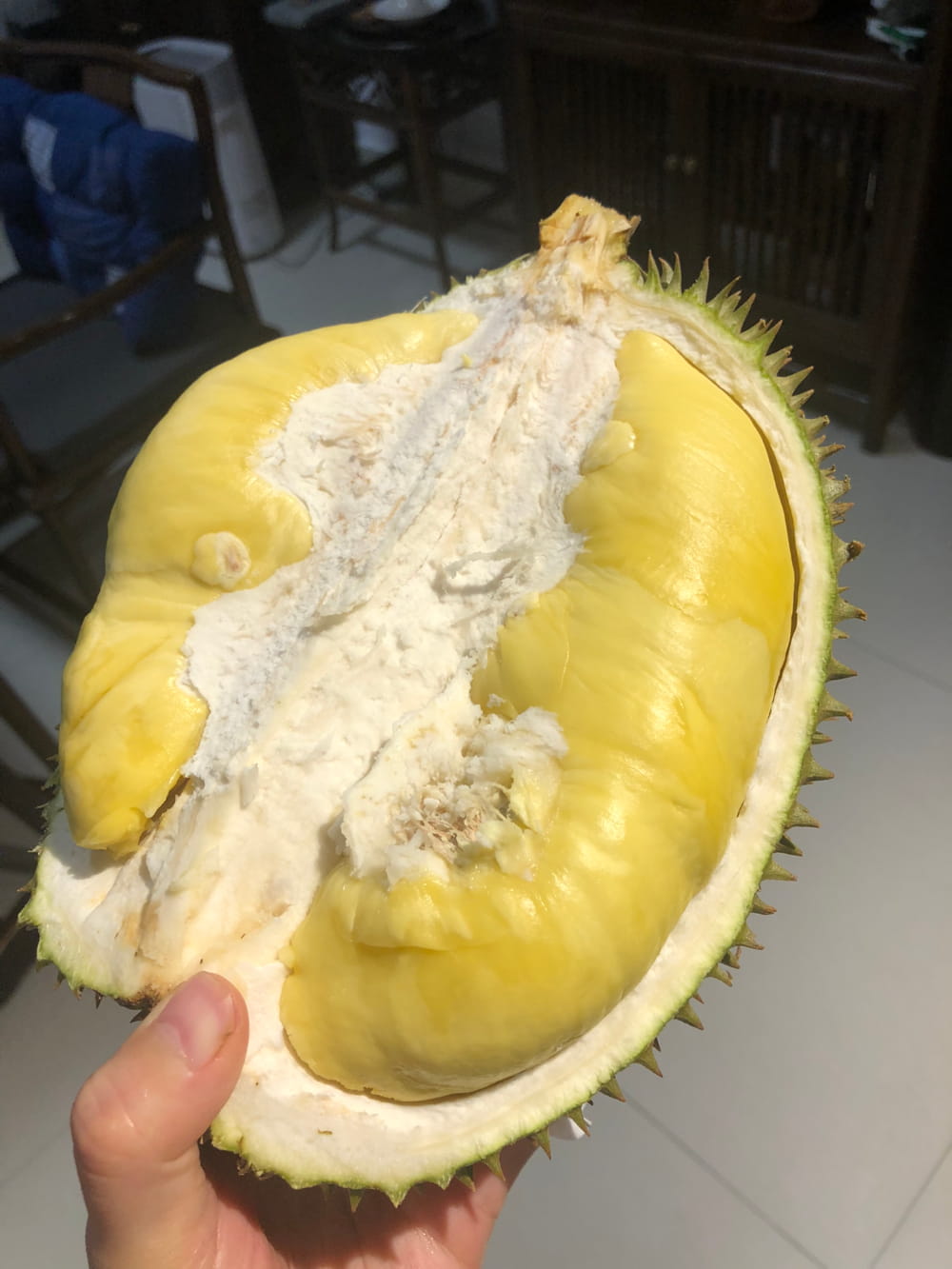 什么样的榴莲为成熟榴莲,榴莲熟了的图片_5