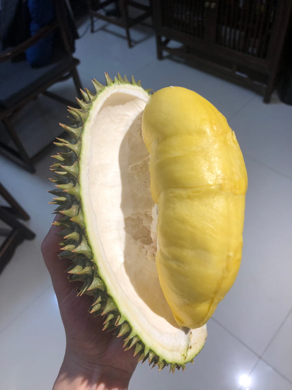 什么样的榴莲为成熟榴莲,榴莲熟了的图片_6