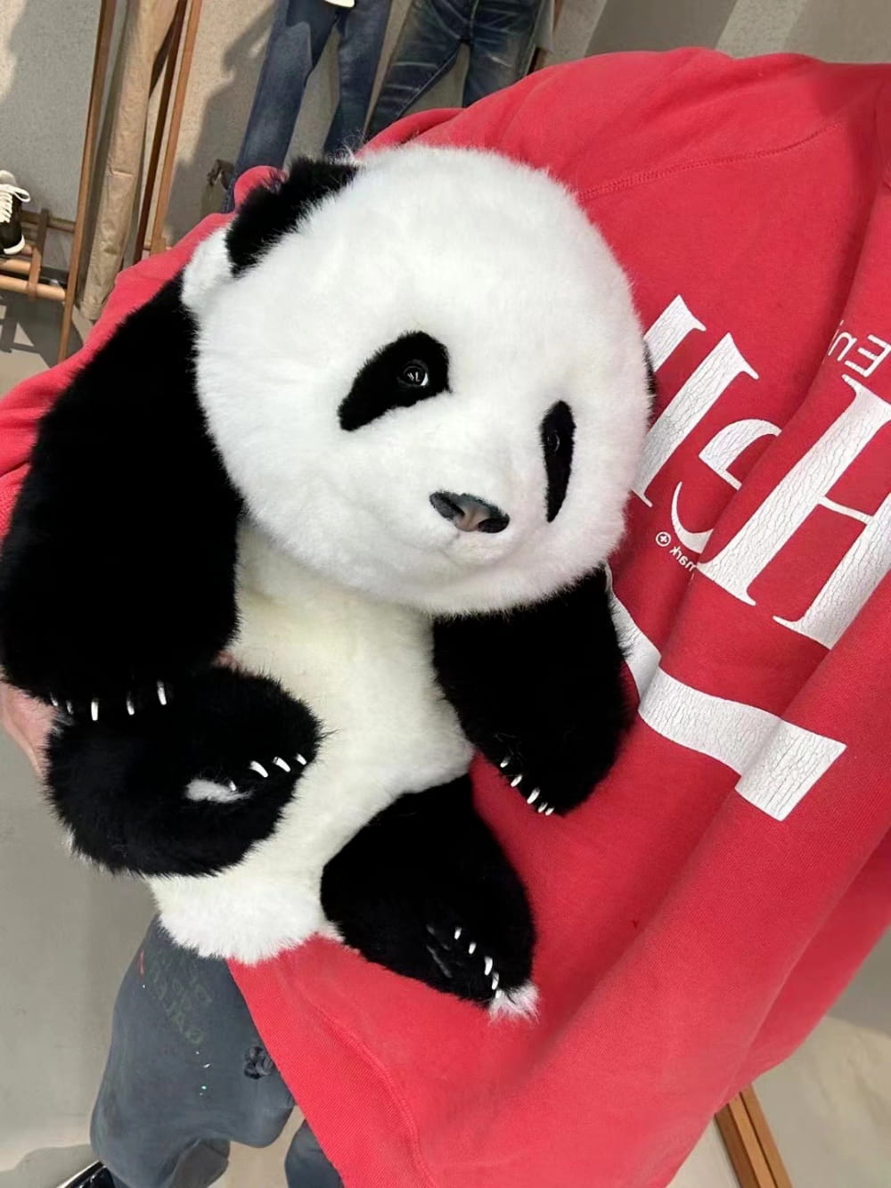 男的送了女的个熊猫，熊猫花花玩偶图片_9