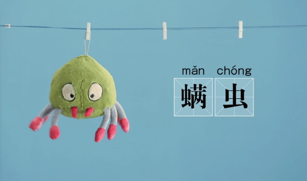 螨虫图片螨虫什么样子，附赠除螨方法_5
