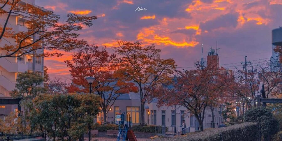 唯美城市风景微信头像高清图片 用风景街景做头像_4