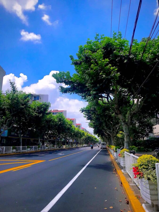 唯美城市风景微信头像高清图片 用风景街景做头像_19