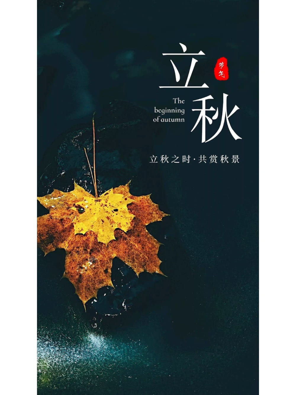 立秋朋友圈文案配图，很惊艳的立秋文案图片_3