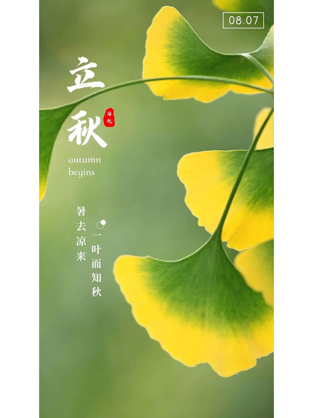 立秋朋友圈文案配图，很惊艳的立秋文案图片_4