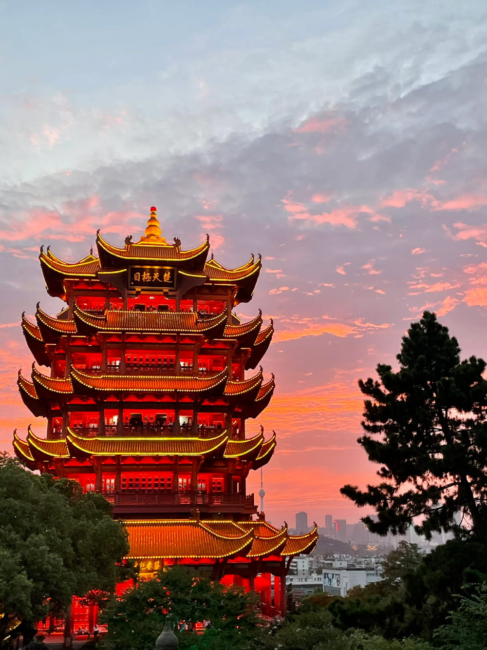 黄鹤楼雪糕冰棍图片 黄鹤楼和冰棍同框_3