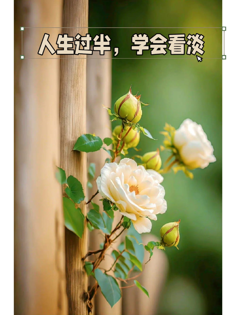 看淡一切善待自己带字图片,余生看淡一切善待自己高清图片_4