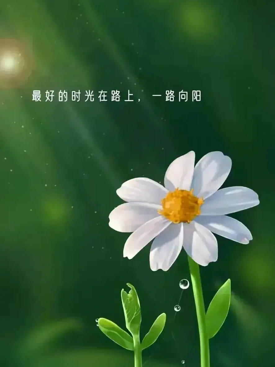 上午好最新精美图片,上午好愉快祝福图片_1
