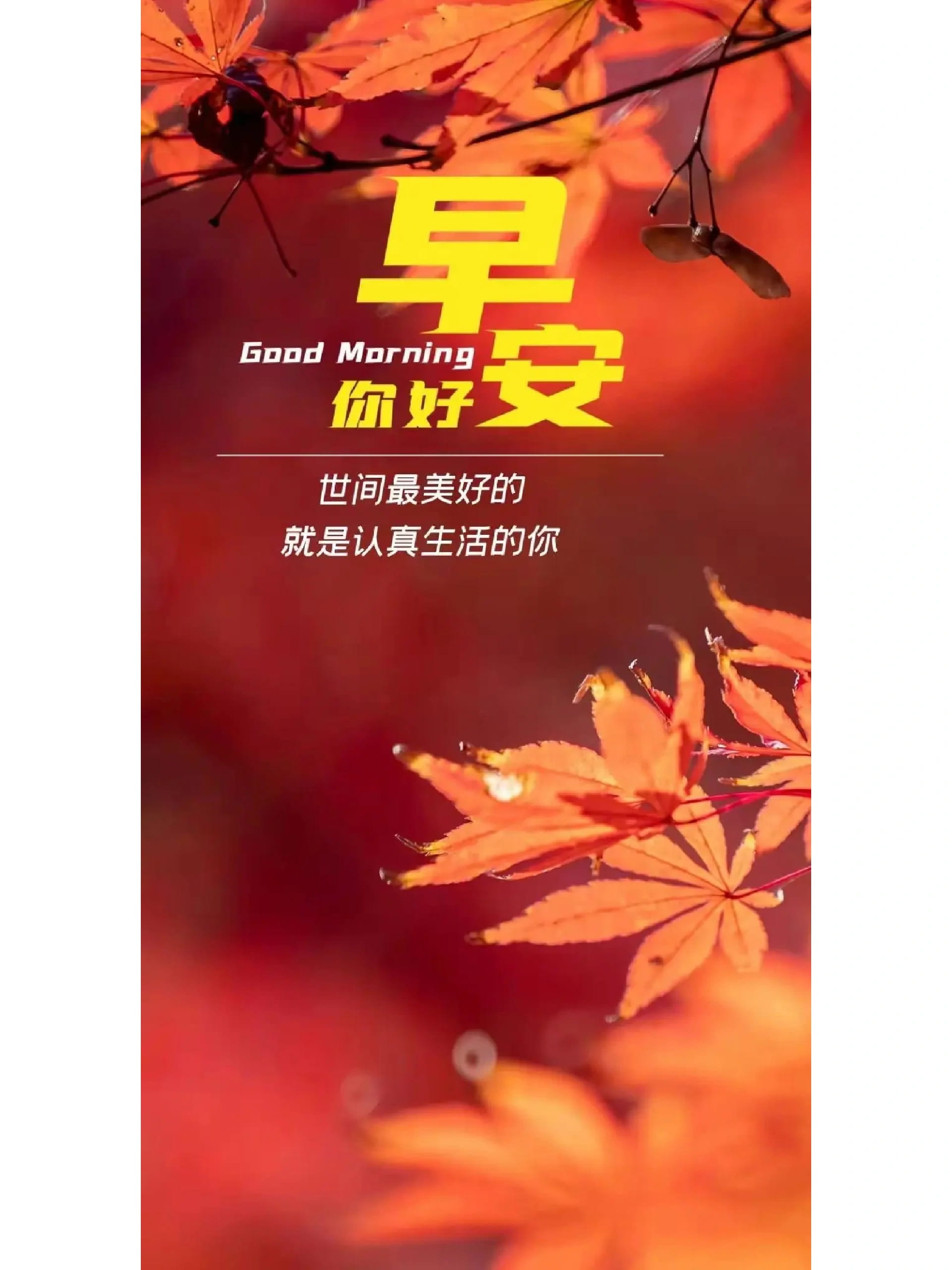 上午好最新精美图片,上午好愉快祝福图片_5