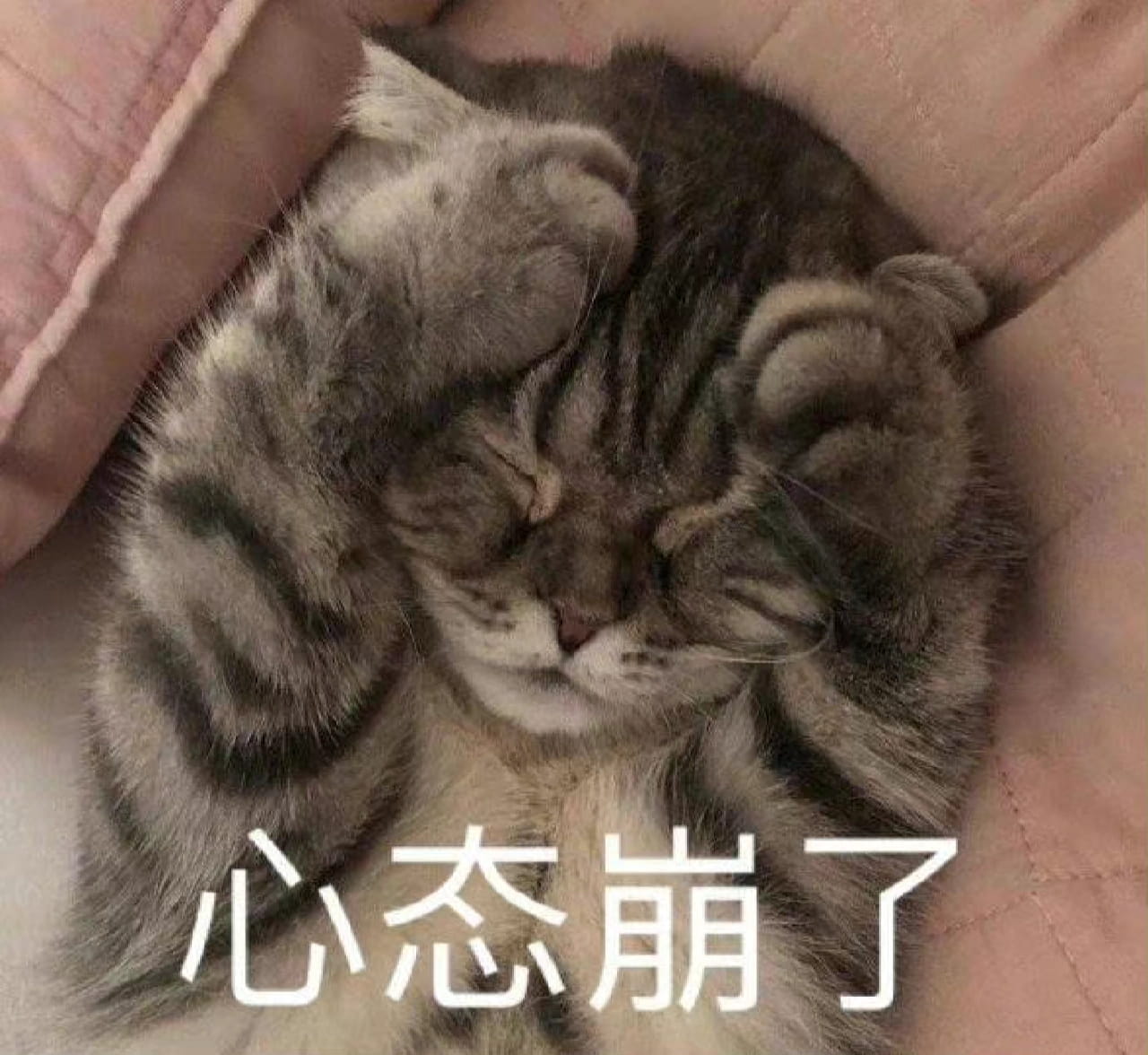 心态崩了朋友圈配图，心态崩了图片发朋友圈专用_3