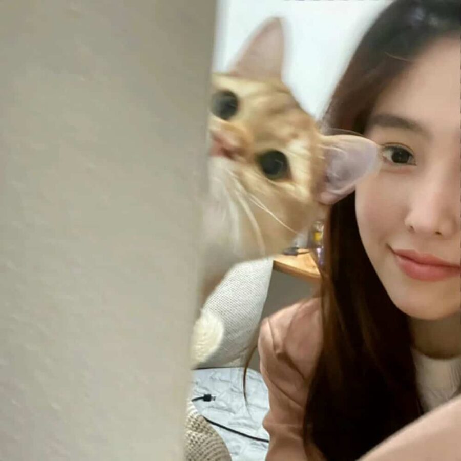 暖心向阳的优质女生头像 清纯氛围感长久不变换闪光正能量女头_1