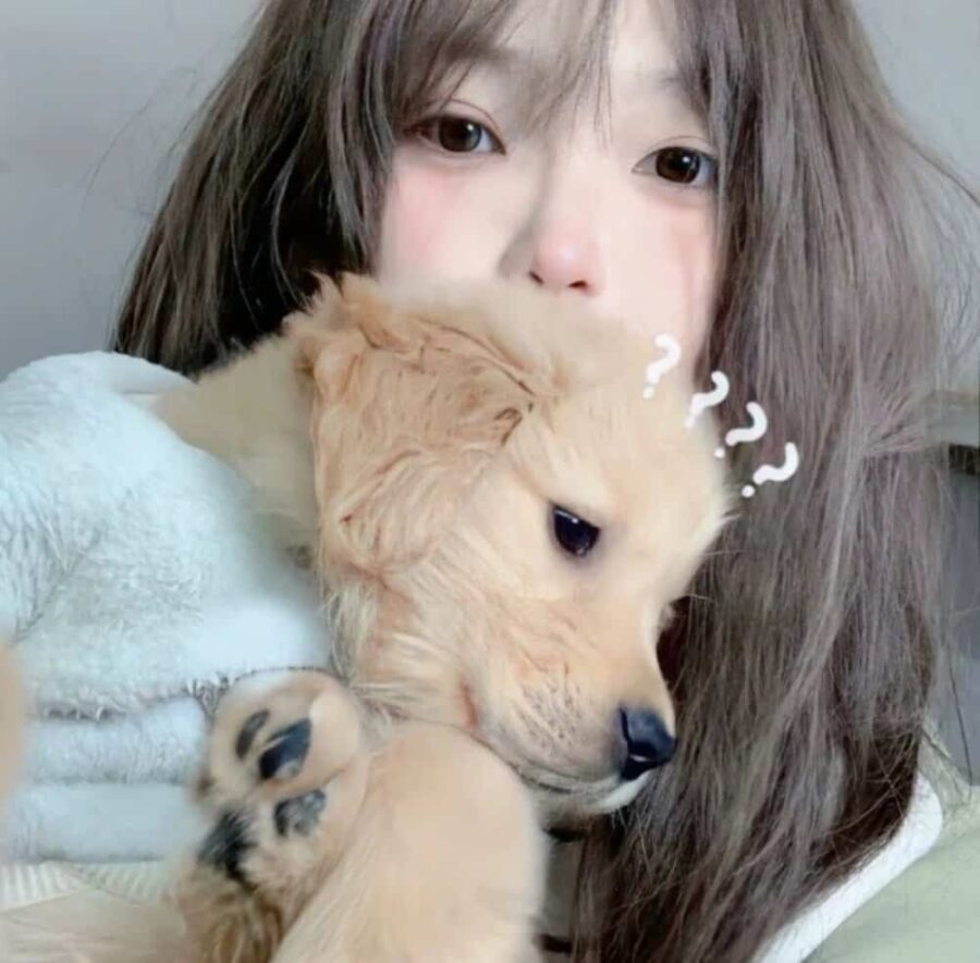 小众好看不易撞甜美真人照片女生头像 可爱女孩自然正面照女头图_12