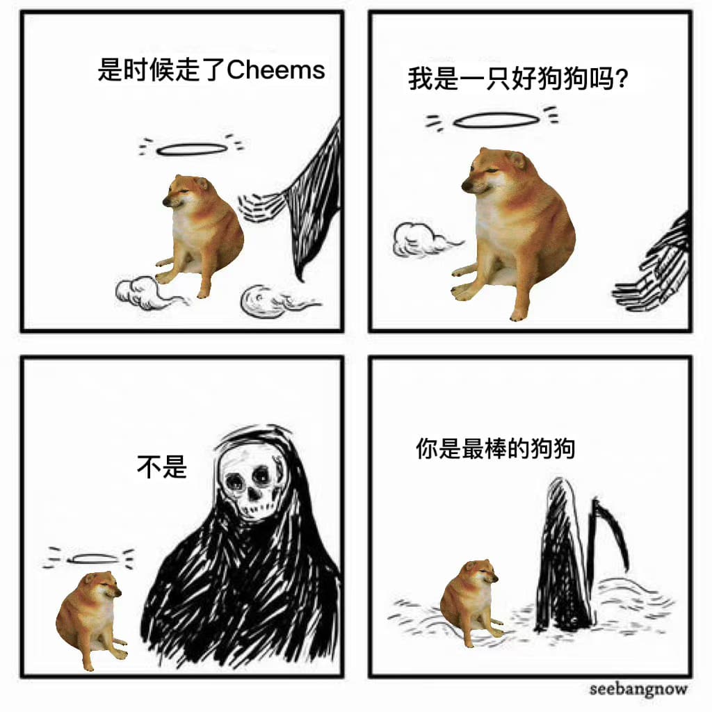 网络知名表情包小狗狗Cheems图片_1