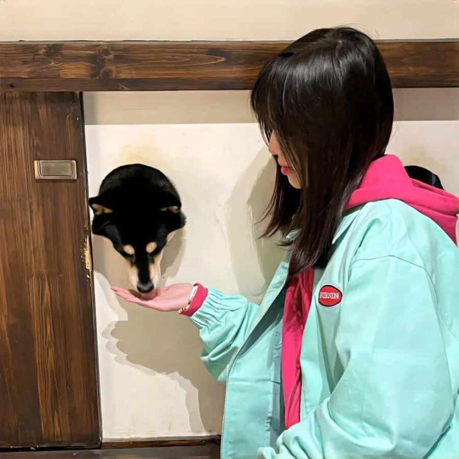 夏日美女真人多巴胺女孩头像图片 淡淡荷尔蒙纯欲女生头像_4