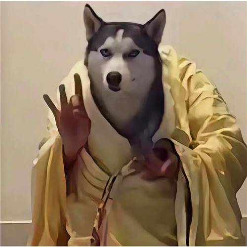老板看了不想给你安排工作的头像图片_13