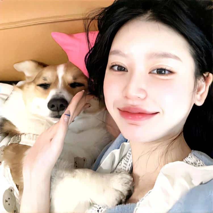 甜美女孩抱宠物猫狗有爱女生头像 真人女生抱宠物头像高清_4