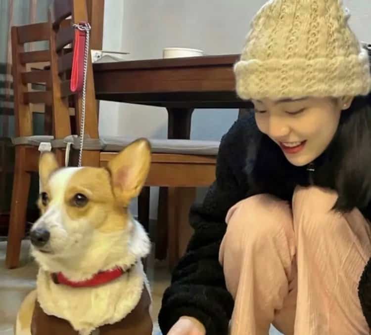 甜美女孩抱宠物猫狗有爱女生头像 真人女生抱宠物头像高清_11