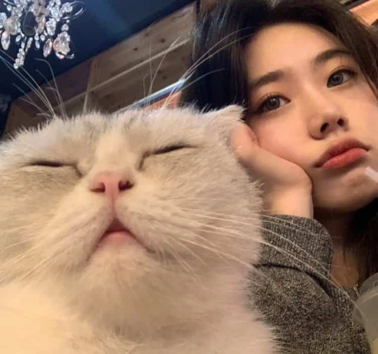 甜美女孩抱宠物猫狗有爱女生头像 真人女生抱宠物头像高清_12
