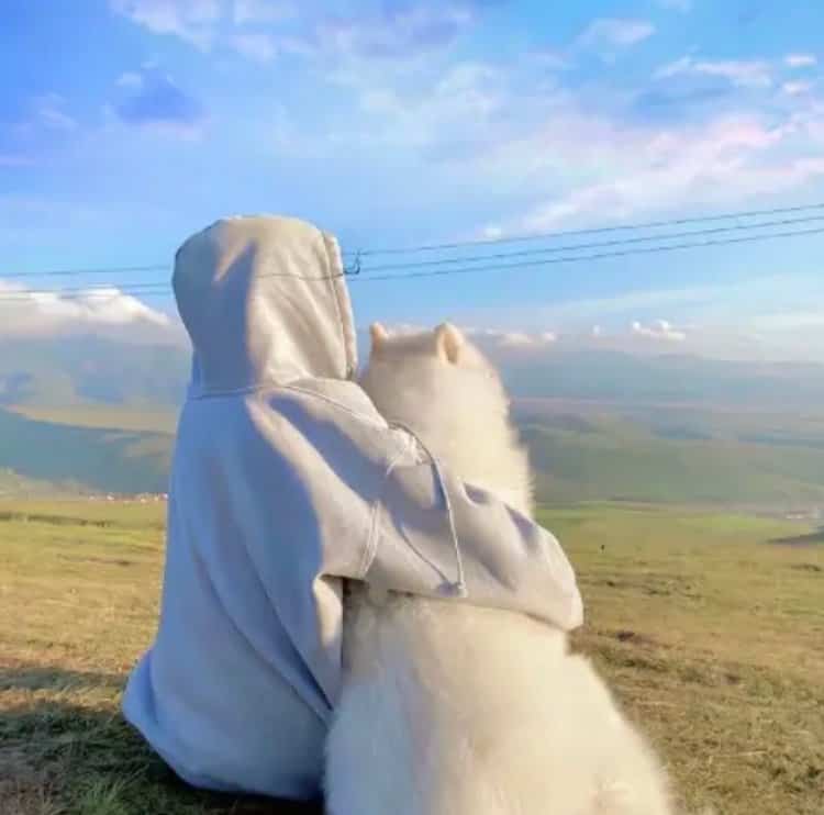甜美女孩抱宠物猫狗有爱女生头像 真人女生抱宠物头像高清_14