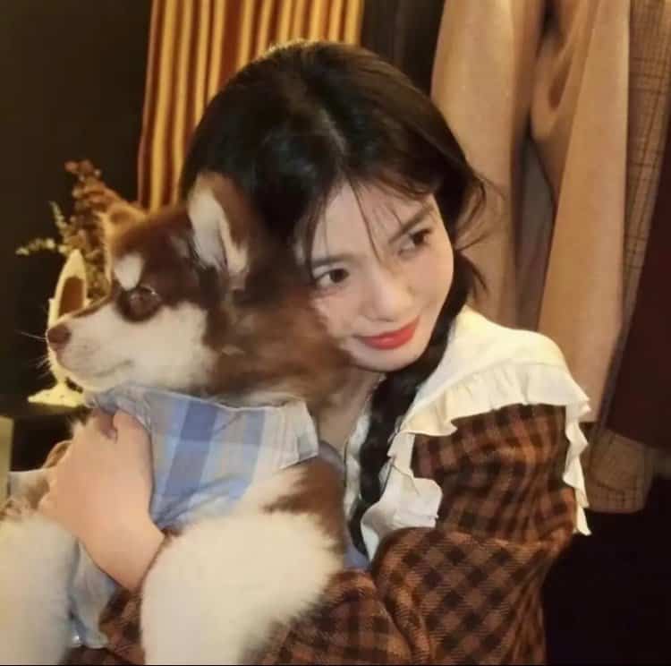 甜美女孩抱宠物猫狗有爱女生头像 真人女生抱宠物头像高清_15