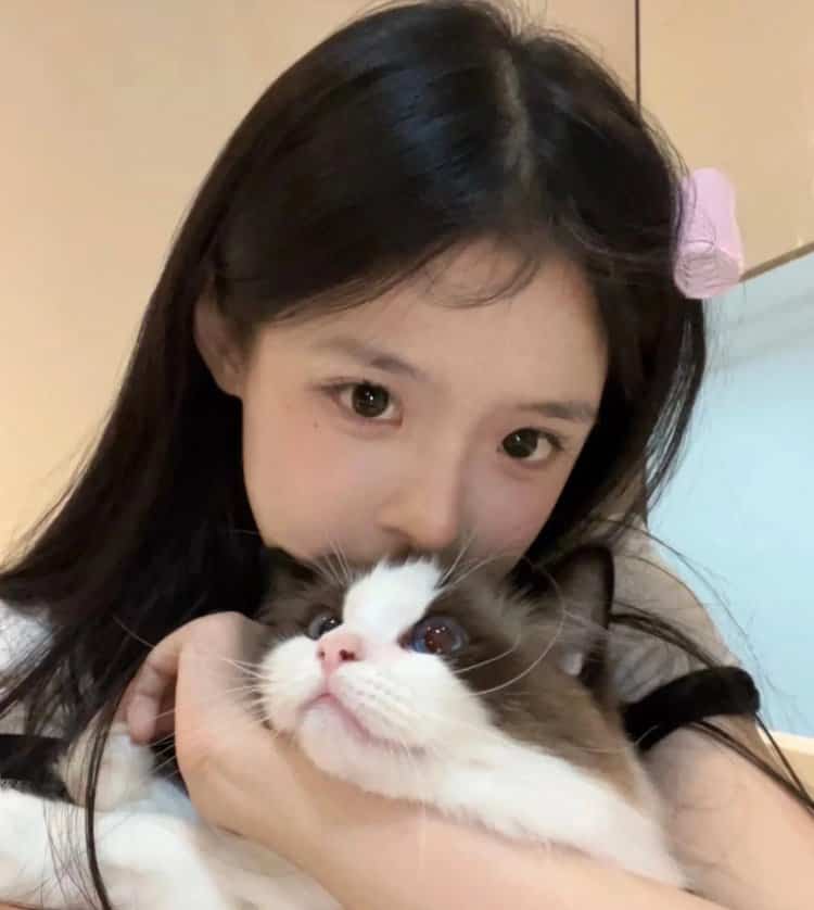 真人女生抱猫真实照片微信头像 女生抱宠物露脸头像_1