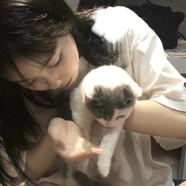 真人女生抱猫真实照片微信头像 女生抱宠物露脸头像_2