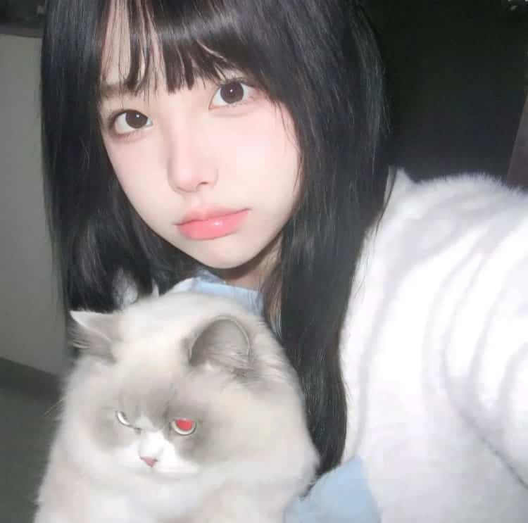 真人女生抱猫真实照片微信头像 女生抱宠物露脸头像_5