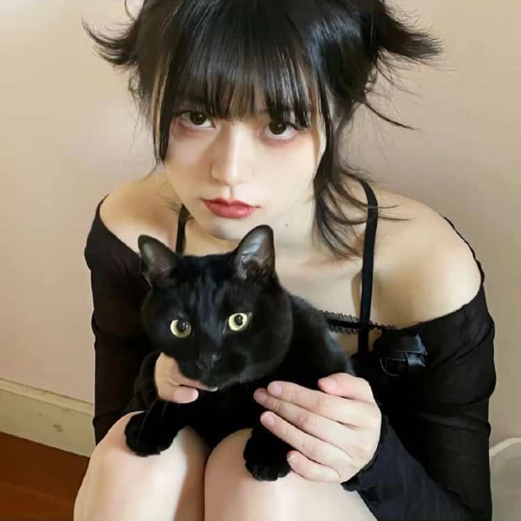 真人女生抱猫真实照片微信头像 女生抱宠物露脸头像_7
