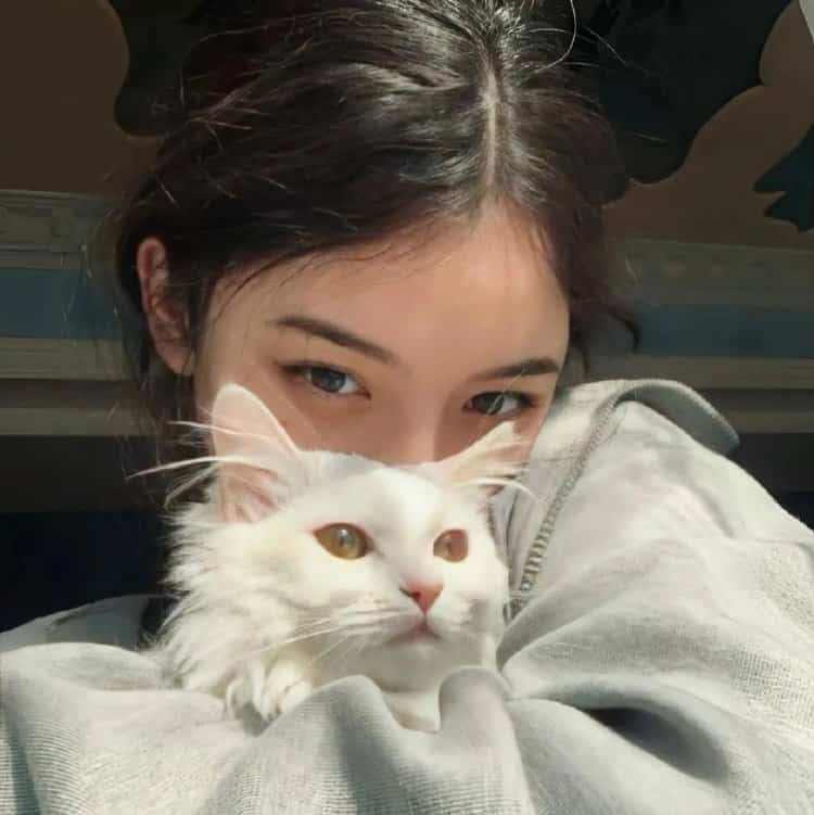 真人女生抱猫真实照片微信头像 女生抱宠物露脸头像_8