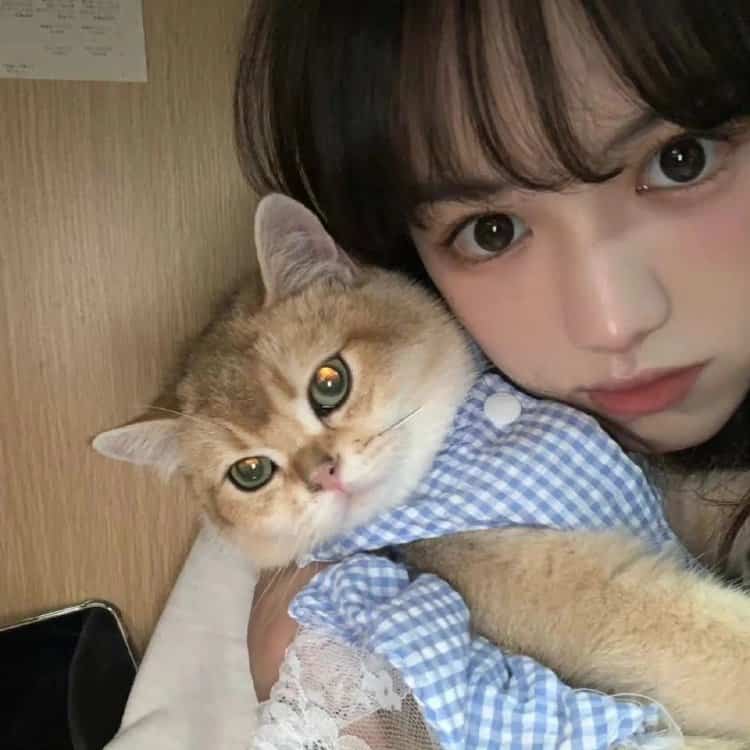 真人女生抱猫真实照片微信头像 女生抱宠物露脸头像_9