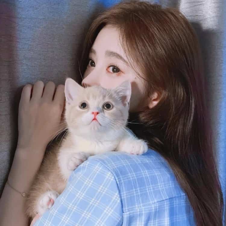 真人女生抱猫真实照片微信头像 女生抱宠物露脸头像_10