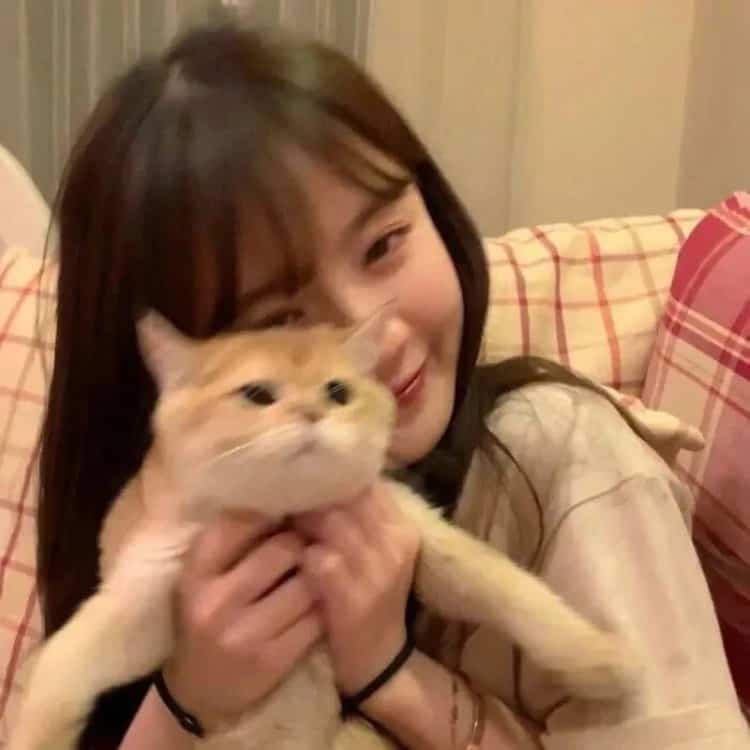 真人女生抱猫真实照片微信头像 女生抱宠物露脸头像_12