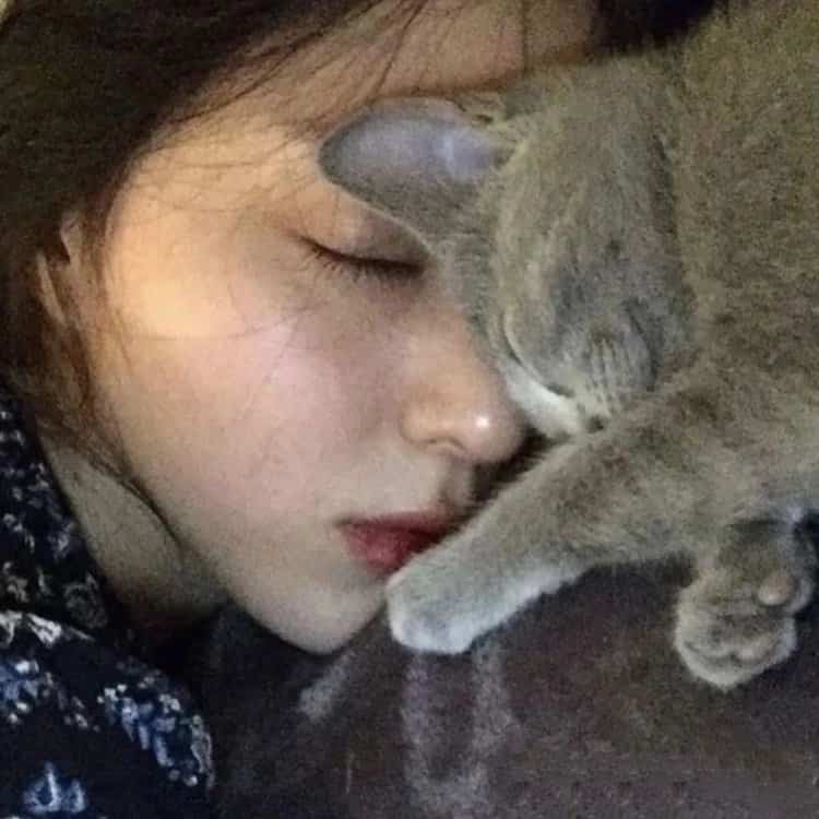 真人女生抱猫真实照片微信头像 女生抱宠物露脸头像_16