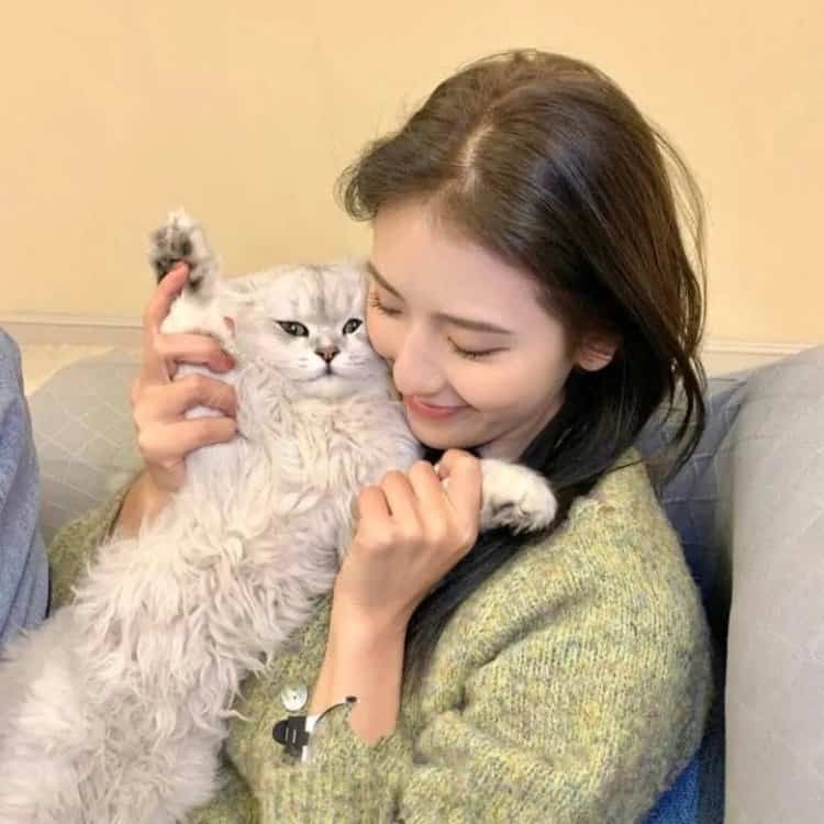 真人女生抱猫真实照片微信头像 女生抱宠物露脸头像_18