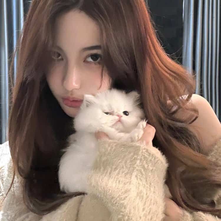 真人女生抱猫真实照片微信头像 女生抱宠物露脸头像_19