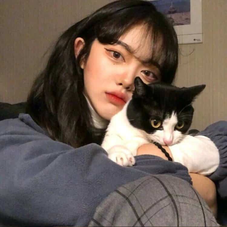 真人女生抱猫真实照片微信头像 女生抱宠物露脸头像_20