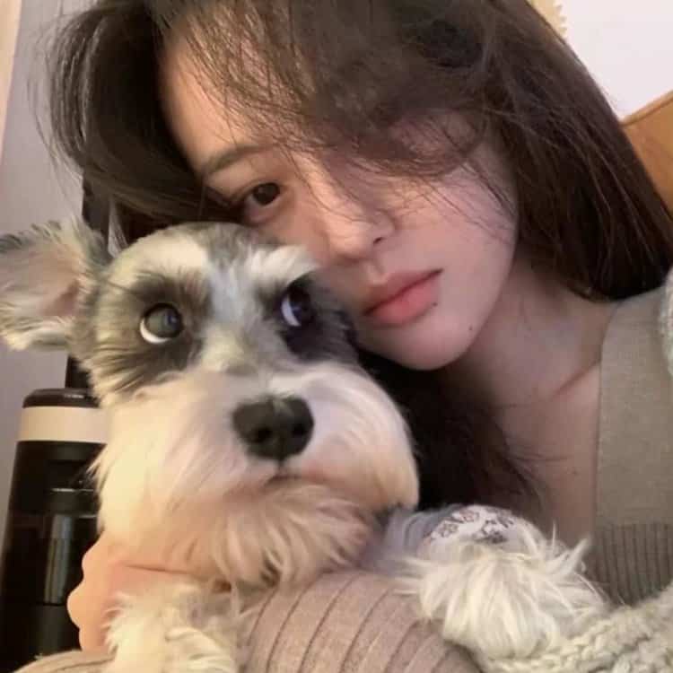 真人女生抱猫真实照片微信头像 女生抱宠物露脸头像_21
