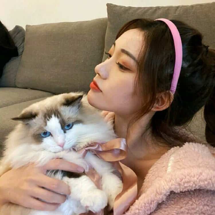 真人女生抱猫真实照片微信头像 女生抱宠物露脸头像_23