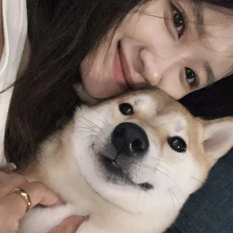 真人女生抱猫真实照片微信头像 女生抱宠物露脸头像_24