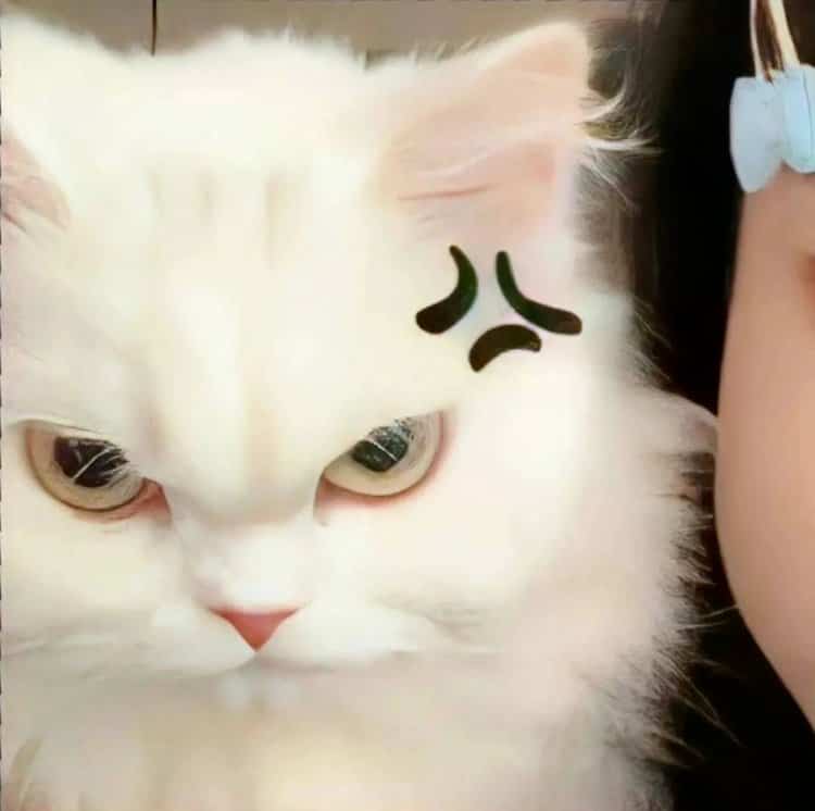 冷门小众ins氛围感拉满的真人照片优质情头 既惊艳又耐看的情侣头像_20
