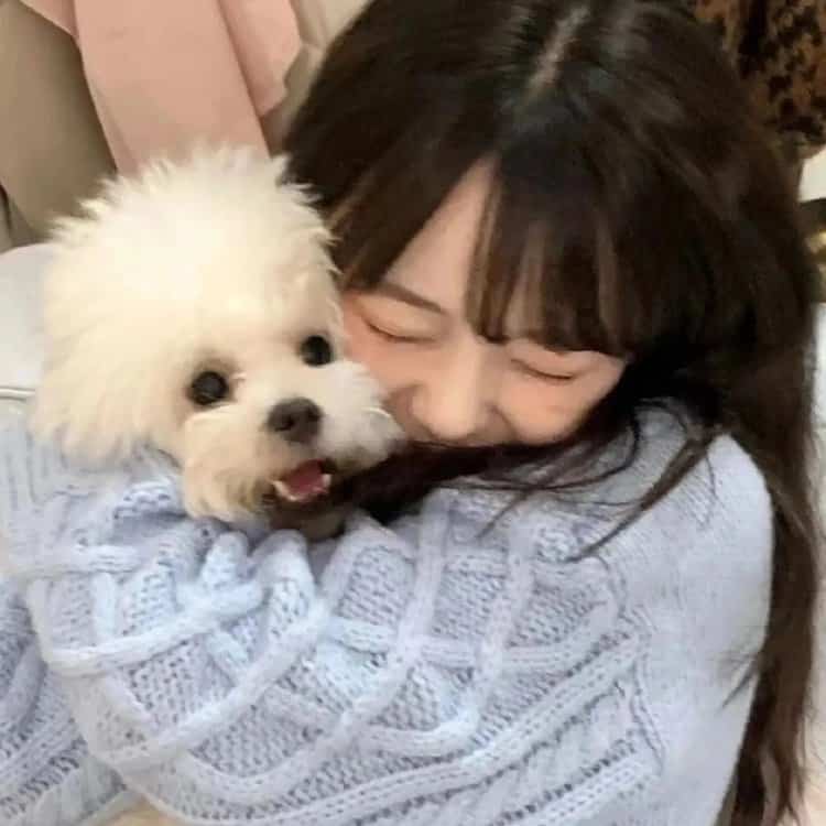 长发温柔女生抱狗狗微信头像 高级清冷氛围感真人照片女生头像_2
