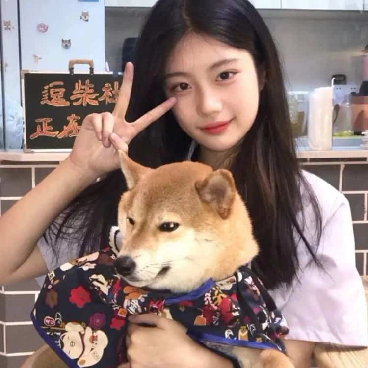 长发温柔女生抱狗狗微信头像 高级清冷氛围感真人照片女生头像_12
