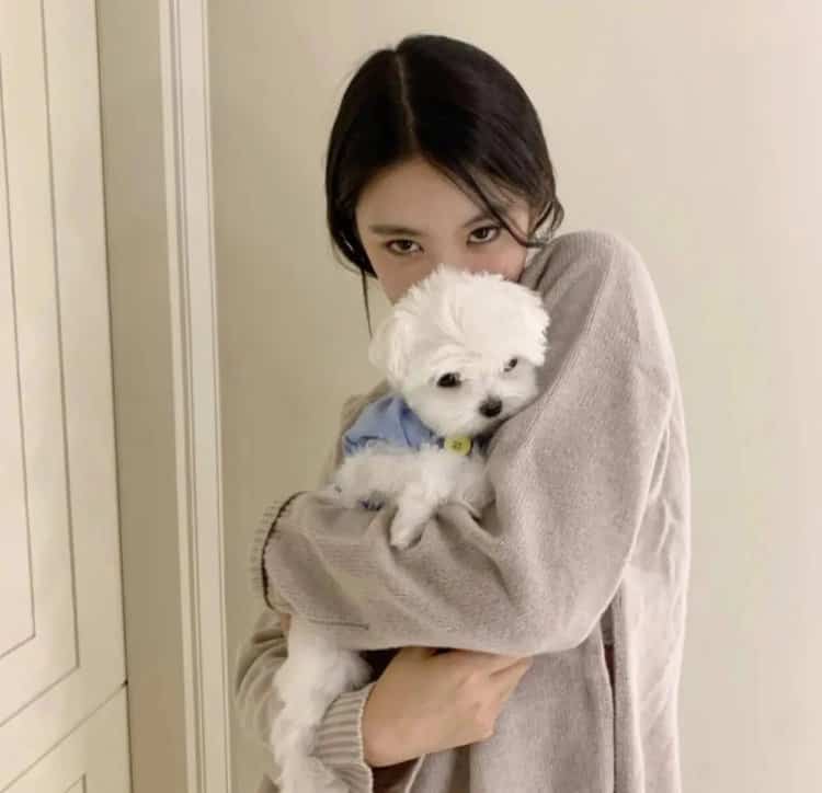 长发温柔女生抱狗狗微信头像 高级清冷氛围感真人照片女生头像_13